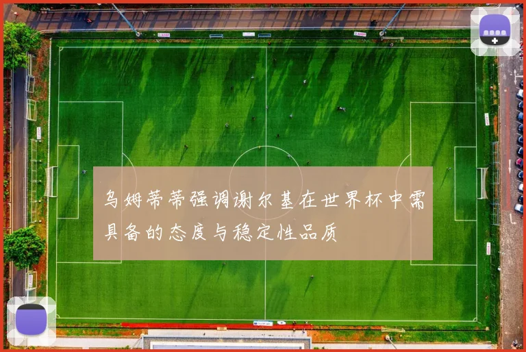 乌姆蒂蒂强调谢尔基在世界杯中需具备的态度与稳定性品质